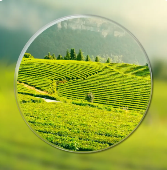 El problema no es tu vista. Es depender de un solo par.