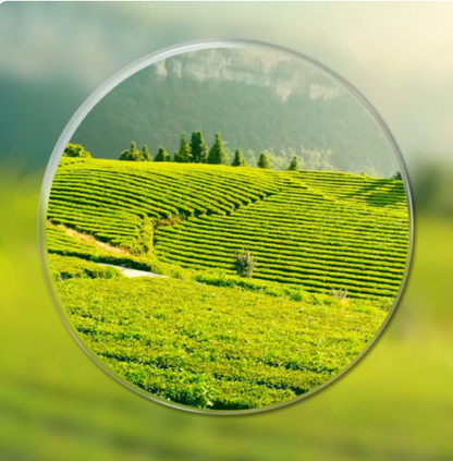 El problema no es tu vista. Es depender de un solo par.